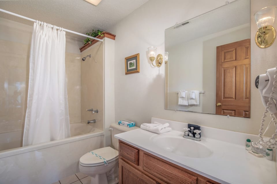 Master Bathroom - Master Bathroom
