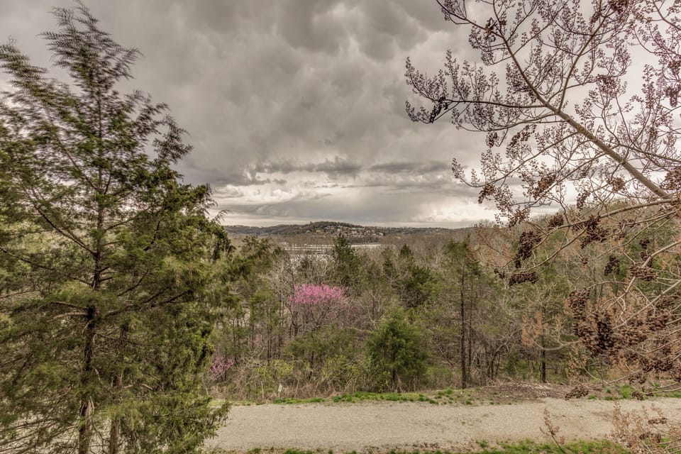 Back Deck View