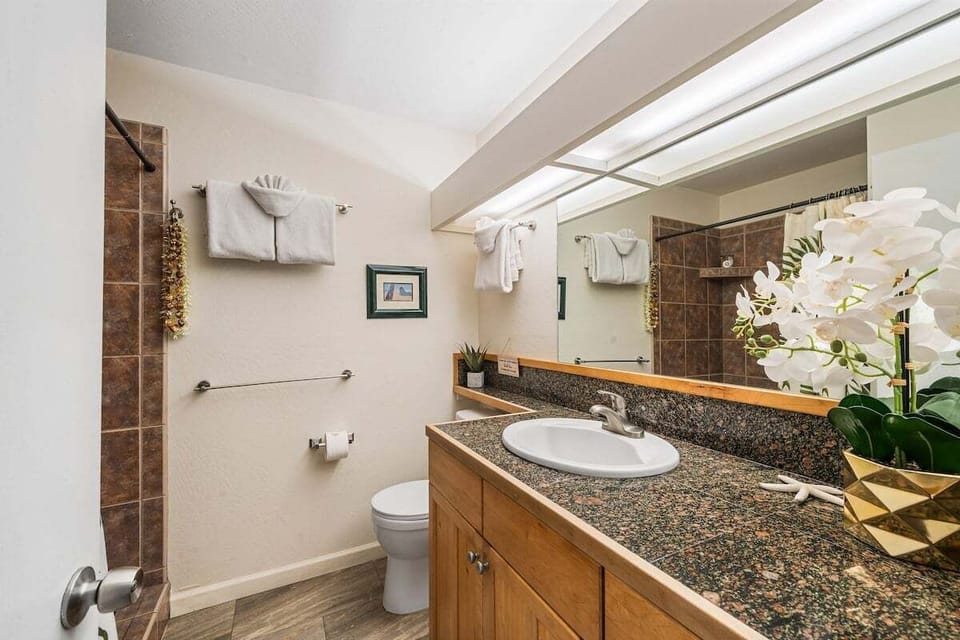 Granite countertop with stylish fixtures and bright lighting