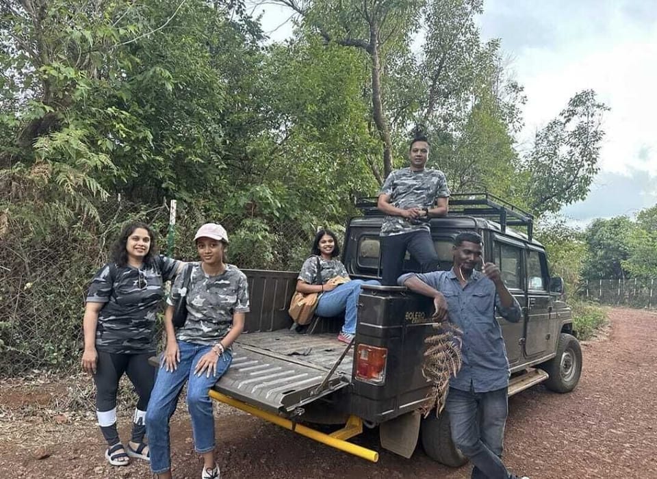 Safari