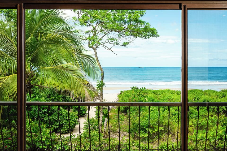 Paradise found