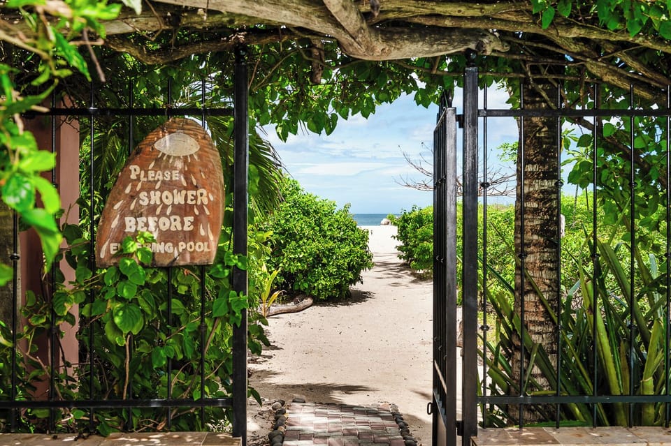 Escape to the beach