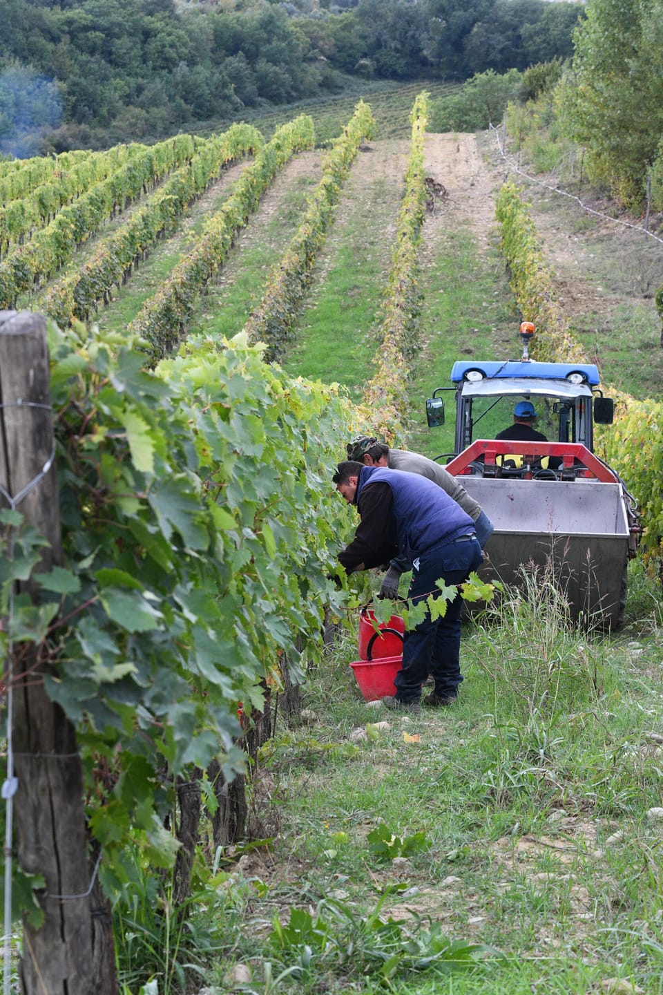 Winery