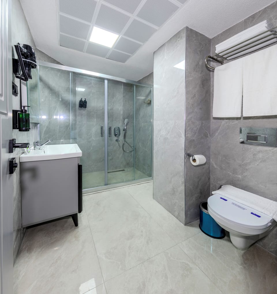 Shower, free toiletries, hair dryer, slippers