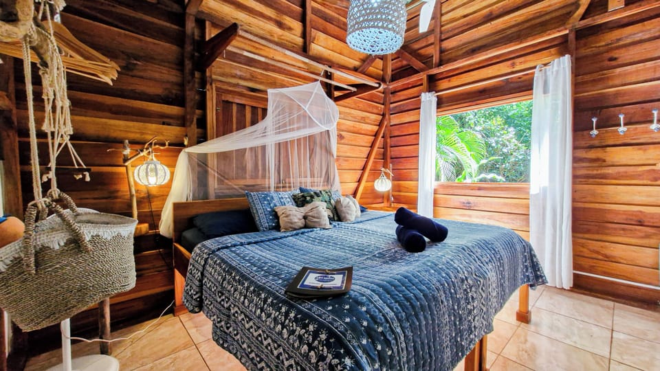 House, 2 Bedrooms, Patio, Garden View | View from room