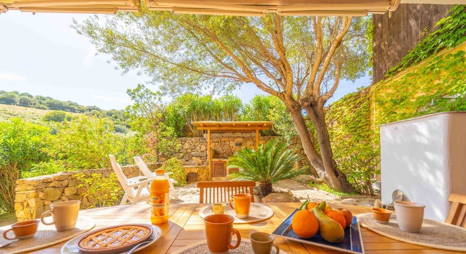 Garden,Garden view