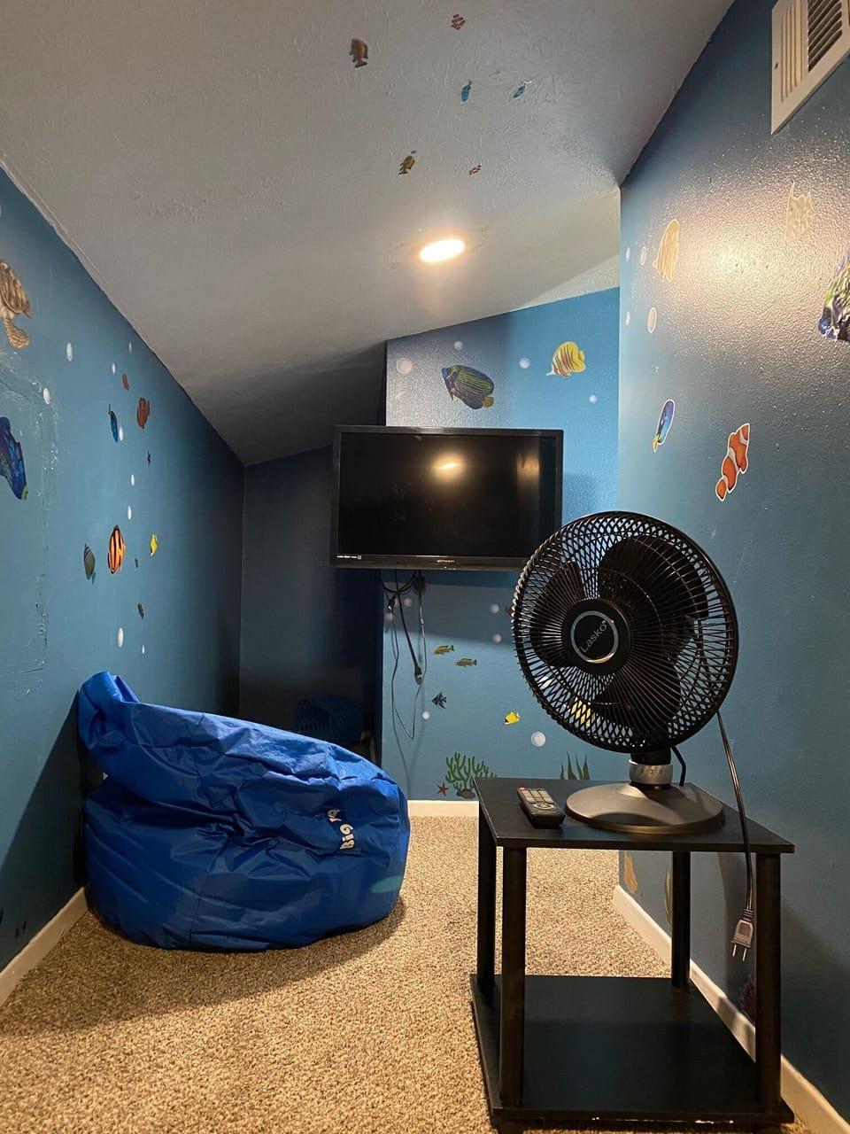 Kids room with smart TV