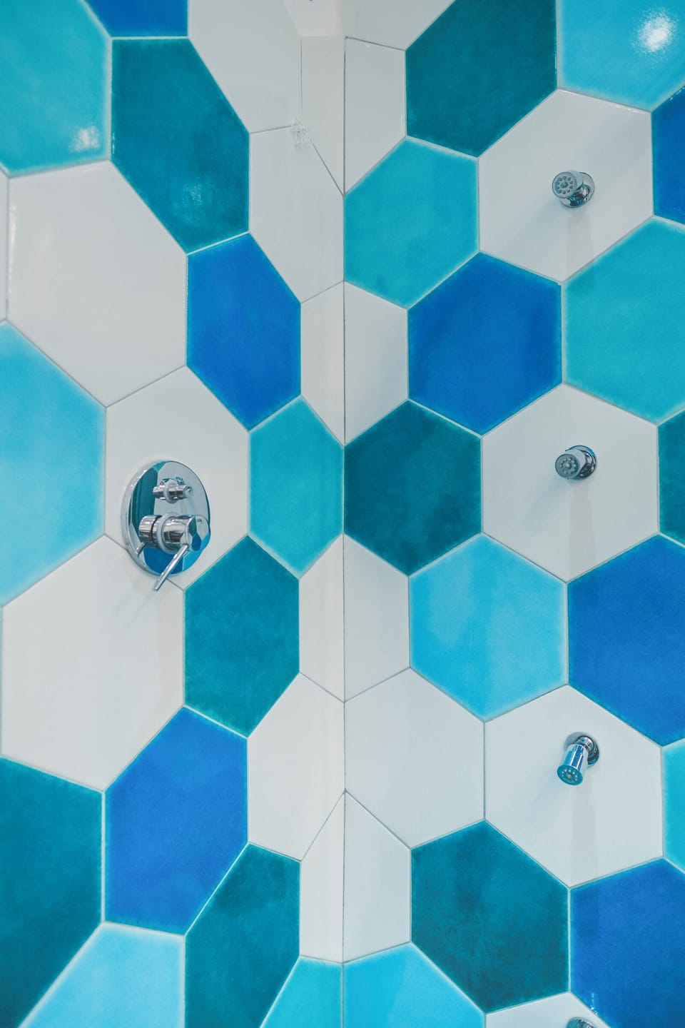 Hair dryer, slippers, bidet, towels