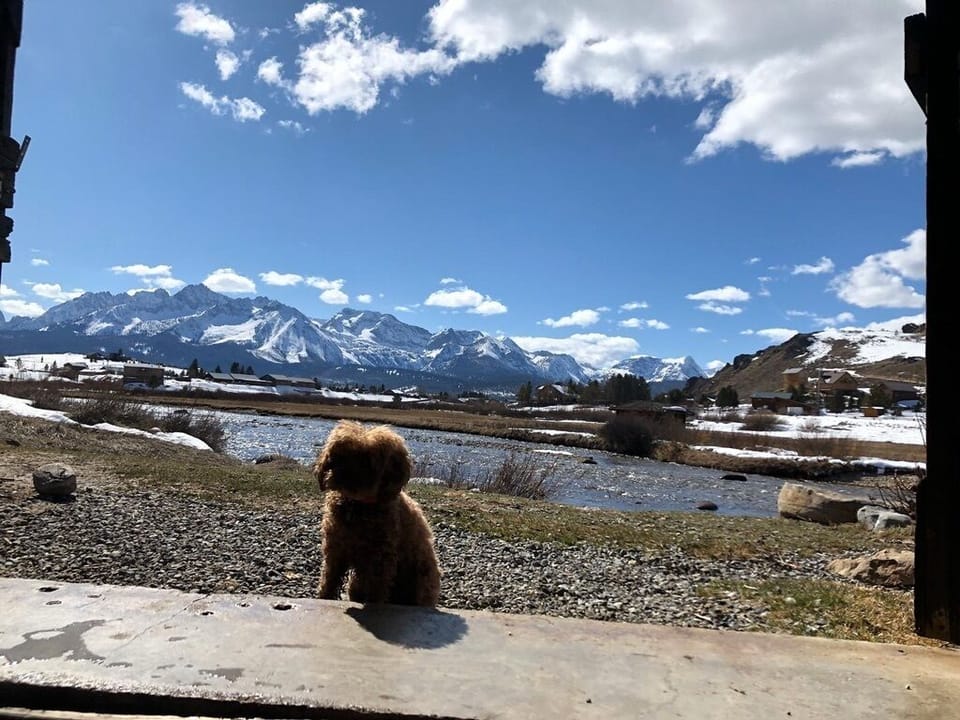 View from property