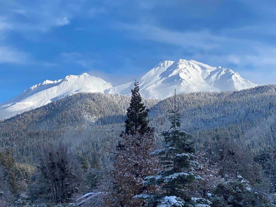 Mama Shasta with her winter coat on...stunning!