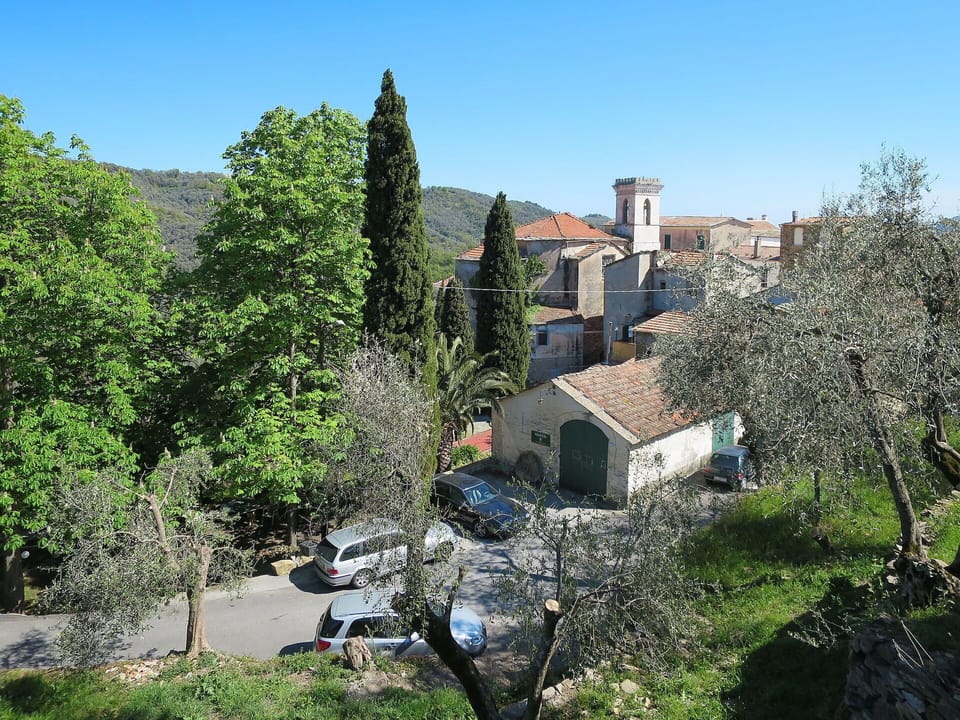 Tree, Shrub, Roof, Rural Area, Village, Mountain Village, Chaparral, Evergreen
