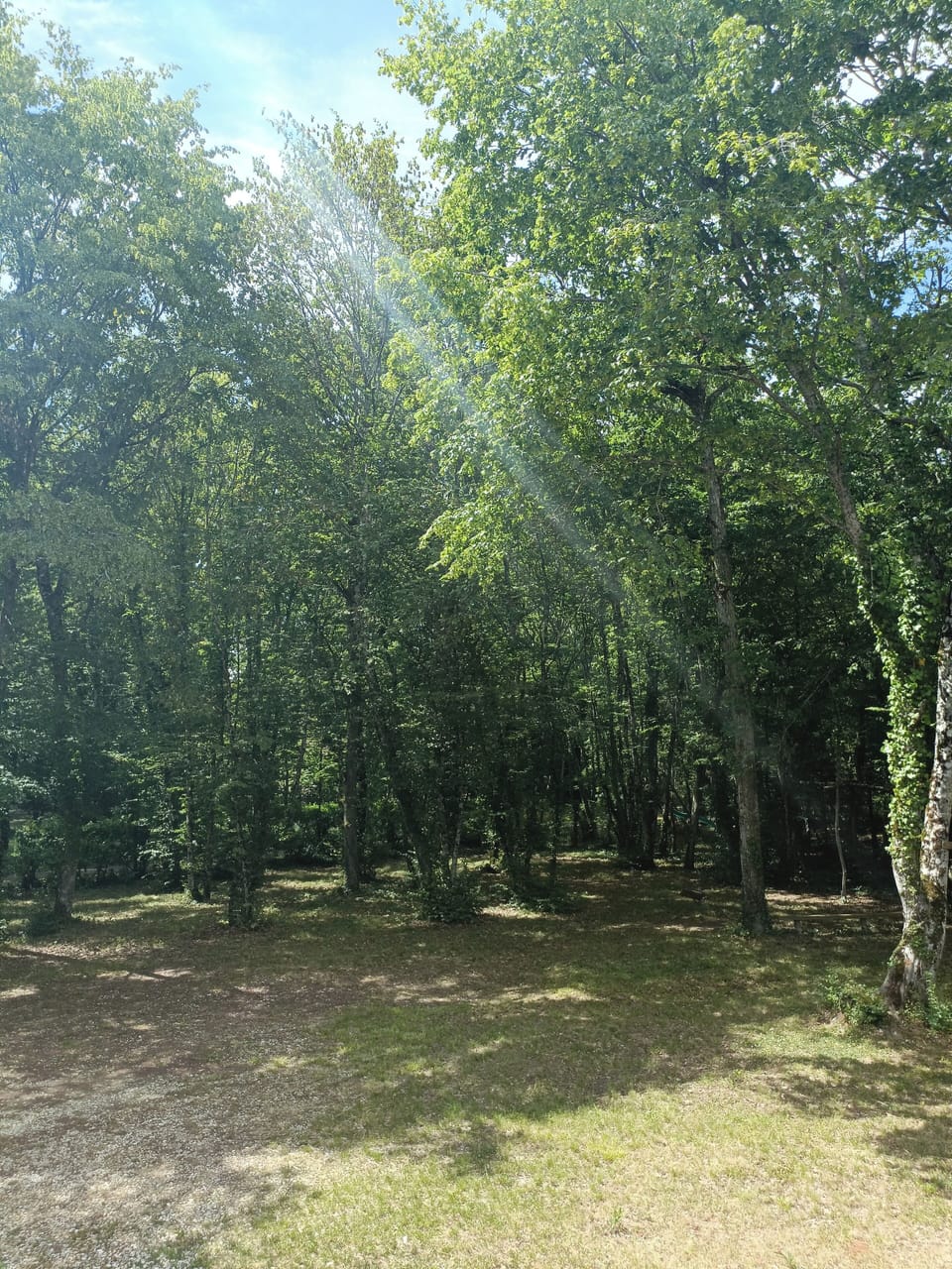 Miscellaneous