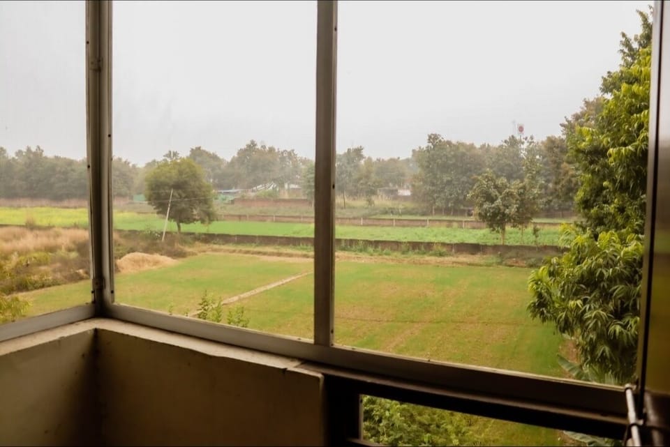 Garden view
