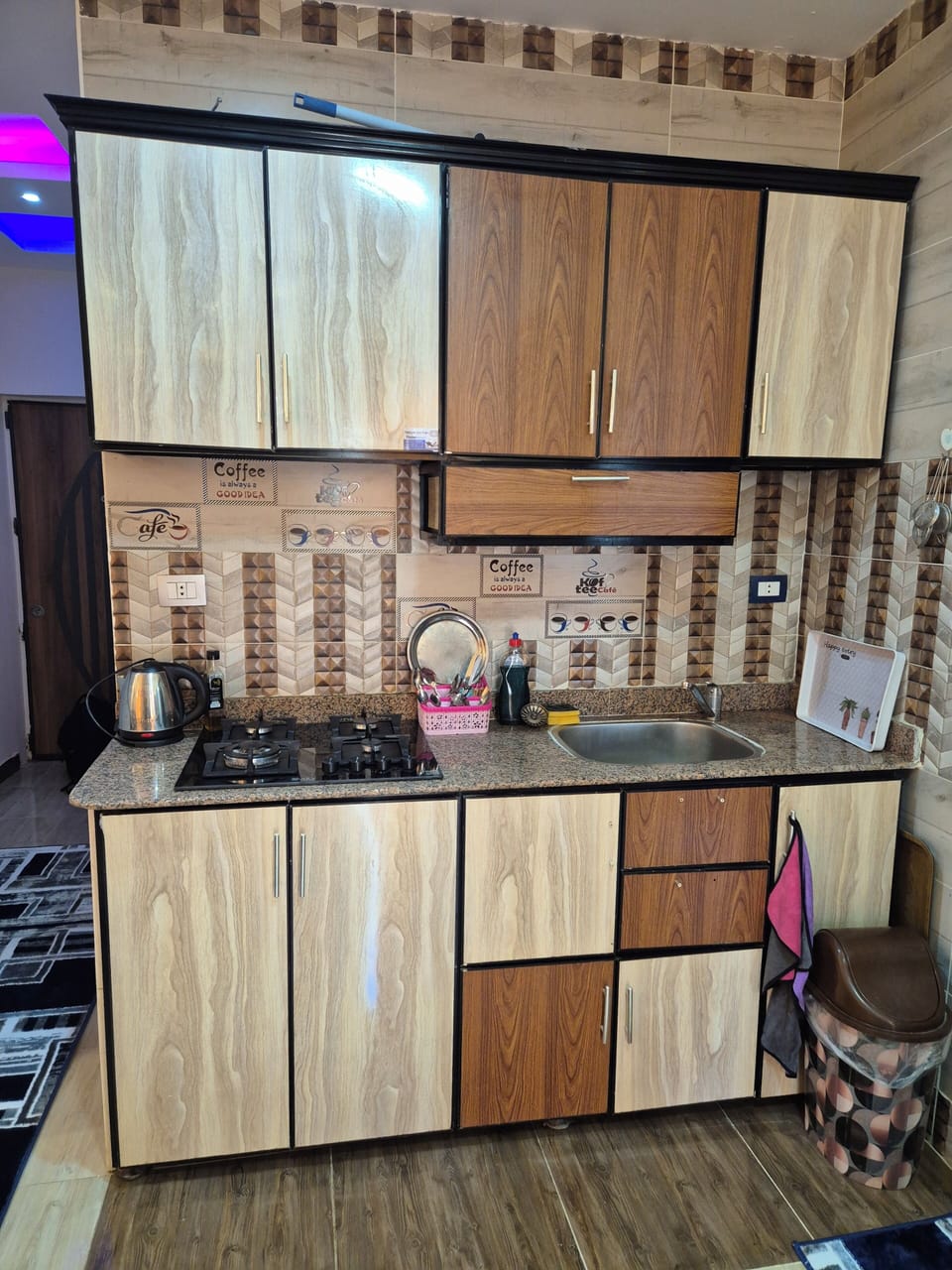 Family Apartment, Balcony, City View | Private kitchen | Full-size fridge, oven, stovetop, electric kettle