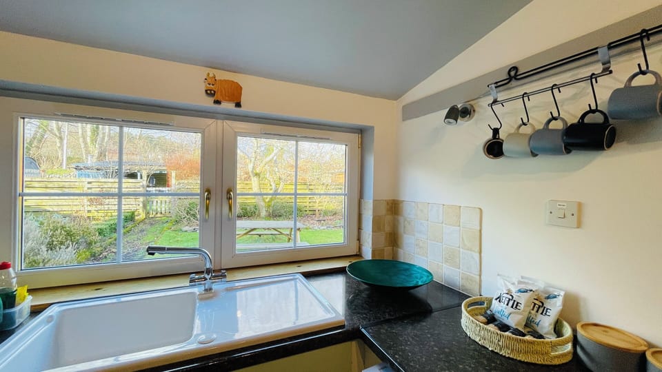 Full-size fridge, microwave, oven, dishwasher