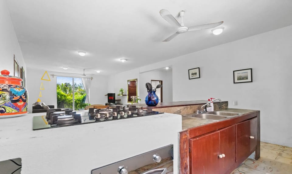 Kitchen #1