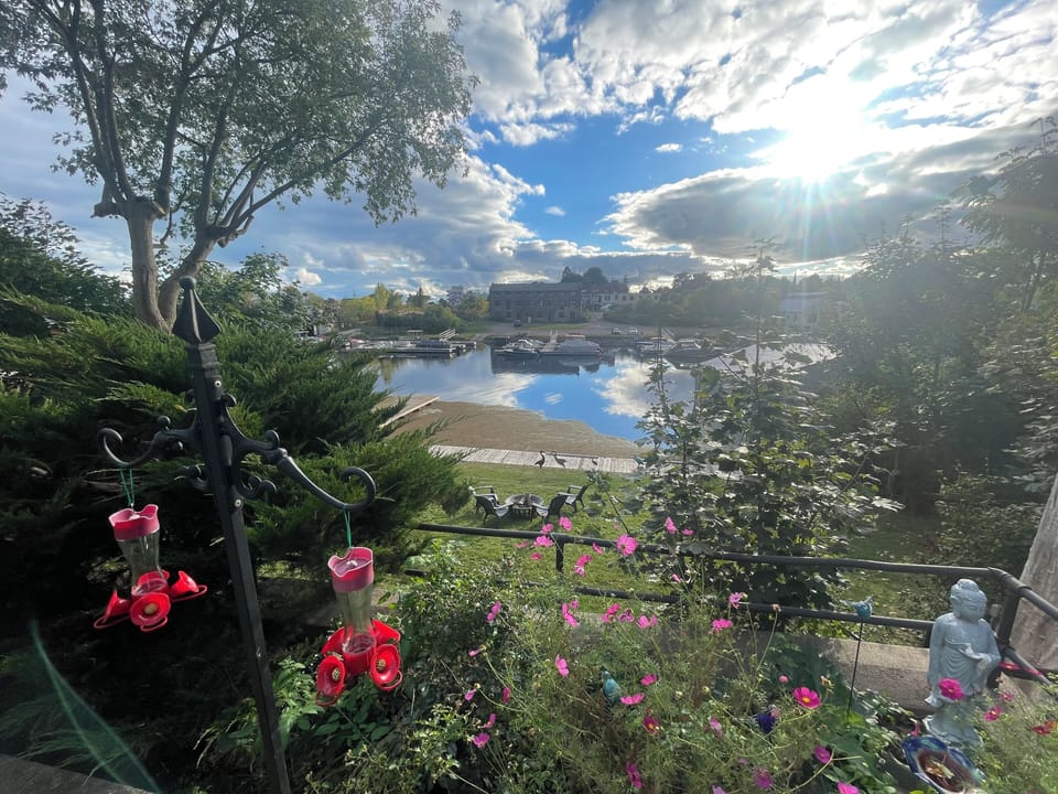 View from property
