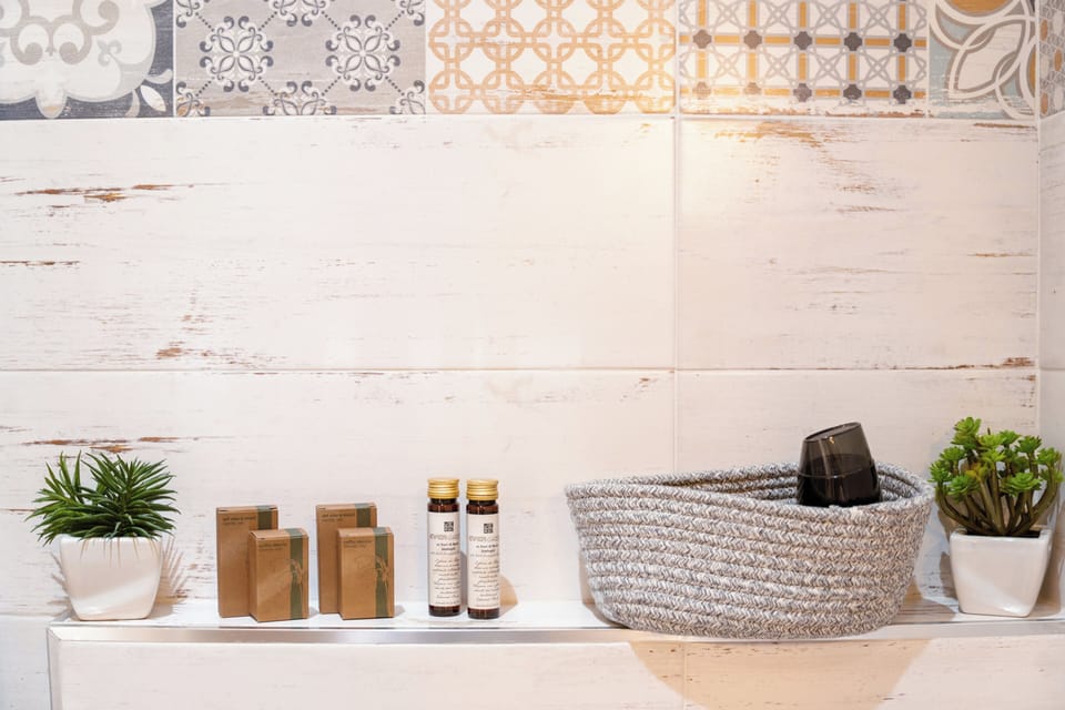 Shower, hair dryer, bathrobes, bidet