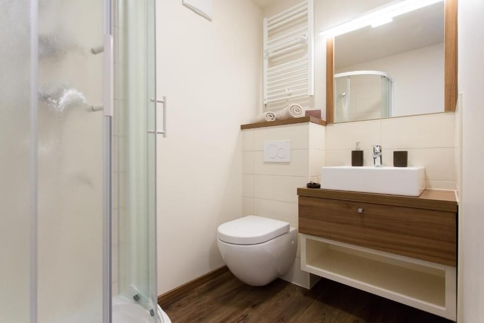 Single Room | Bathroom | Shower, hair dryer, towels, soap