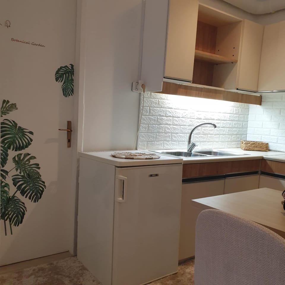 Apartment | Private kitchenette