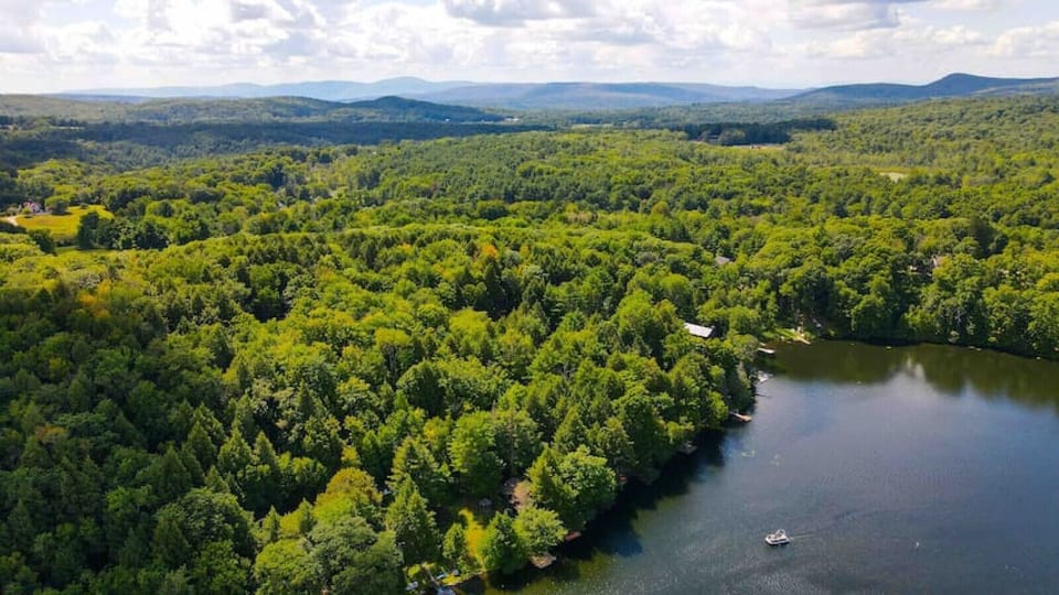 Stunning aerial view of the lush forest and sparkling lake, showcasing the natural beauty and privacy of the property.