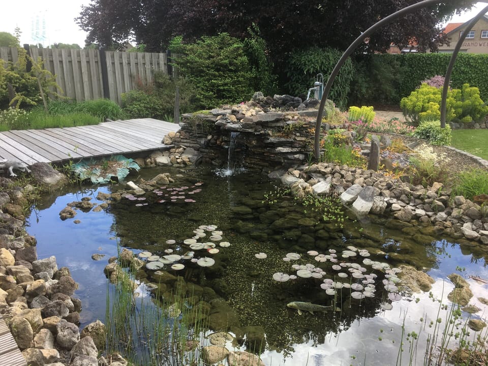 House | Garden