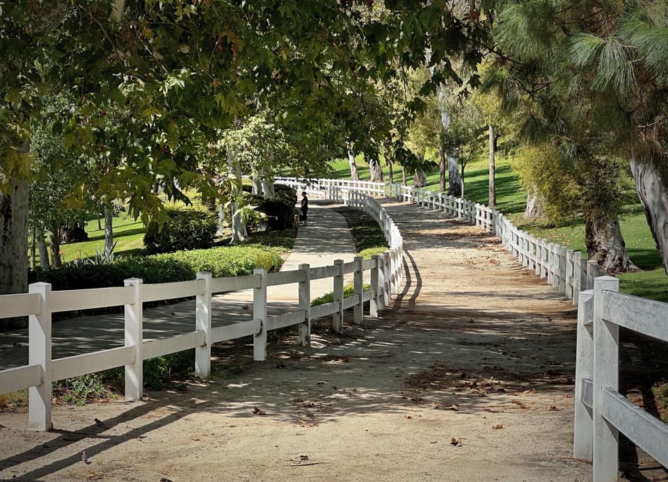 Lovely Travis Ranch horse trail and adjacent walkway