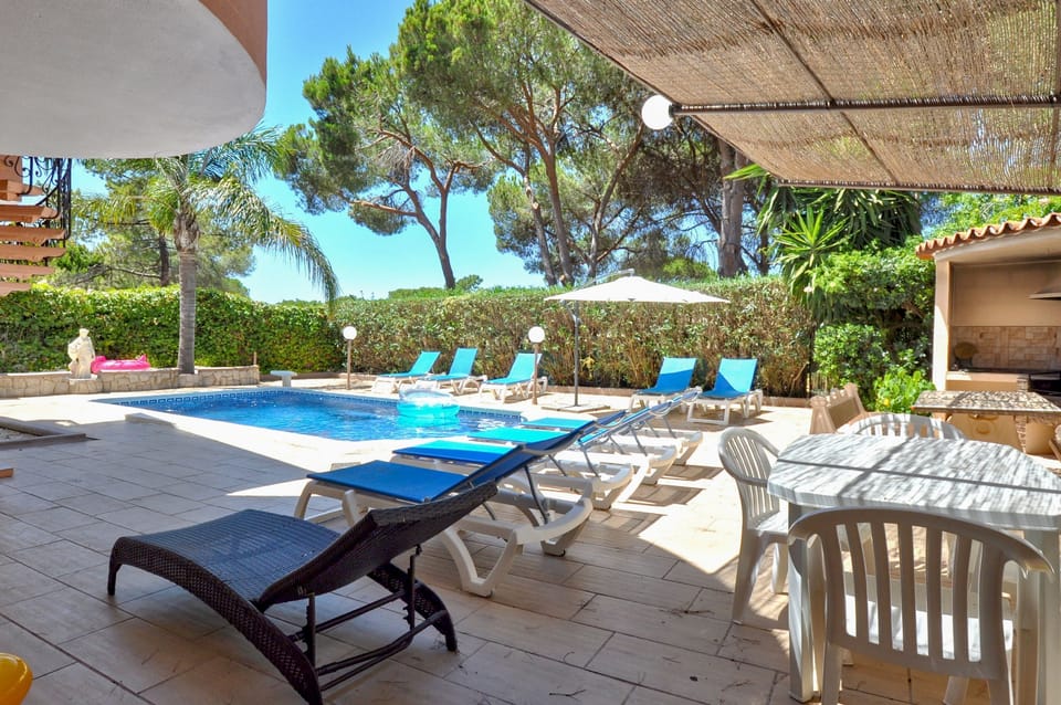 Pool and terrace