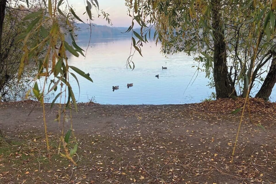 Daneshill lakes