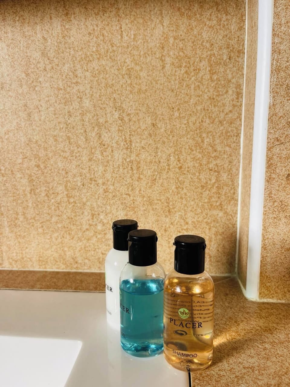 Shower, free toiletries, hair dryer, soap