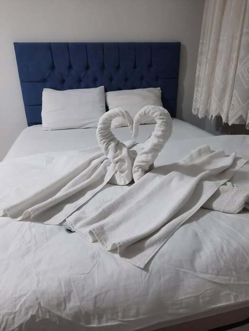 Hypo-allergenic bedding, down comforters, pillowtop beds, free WiFi