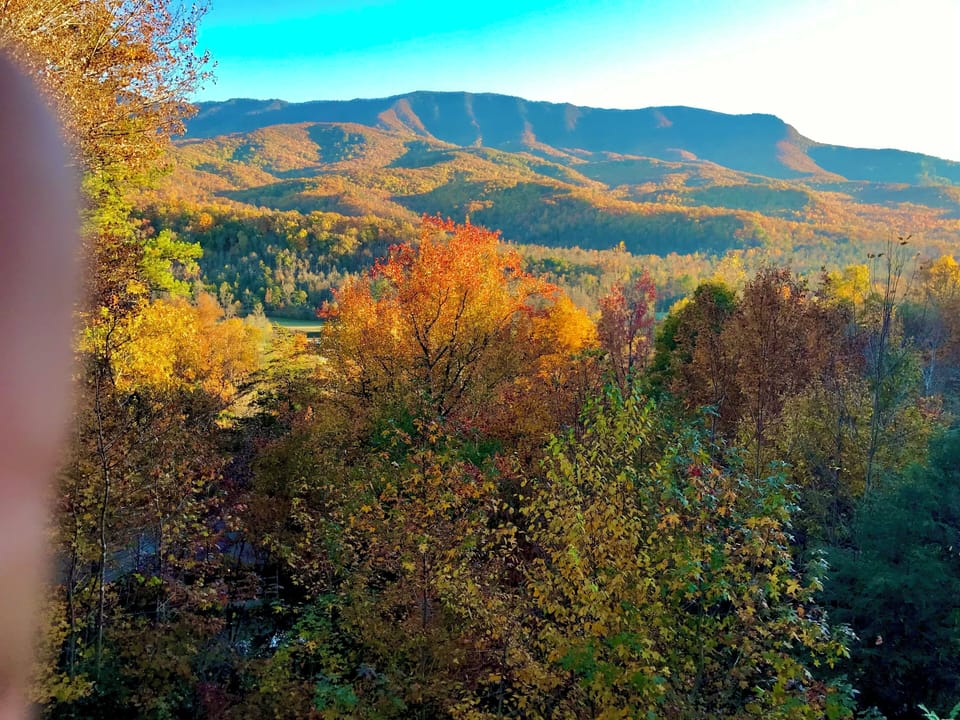 Beautiful fall colors from the upper deck
