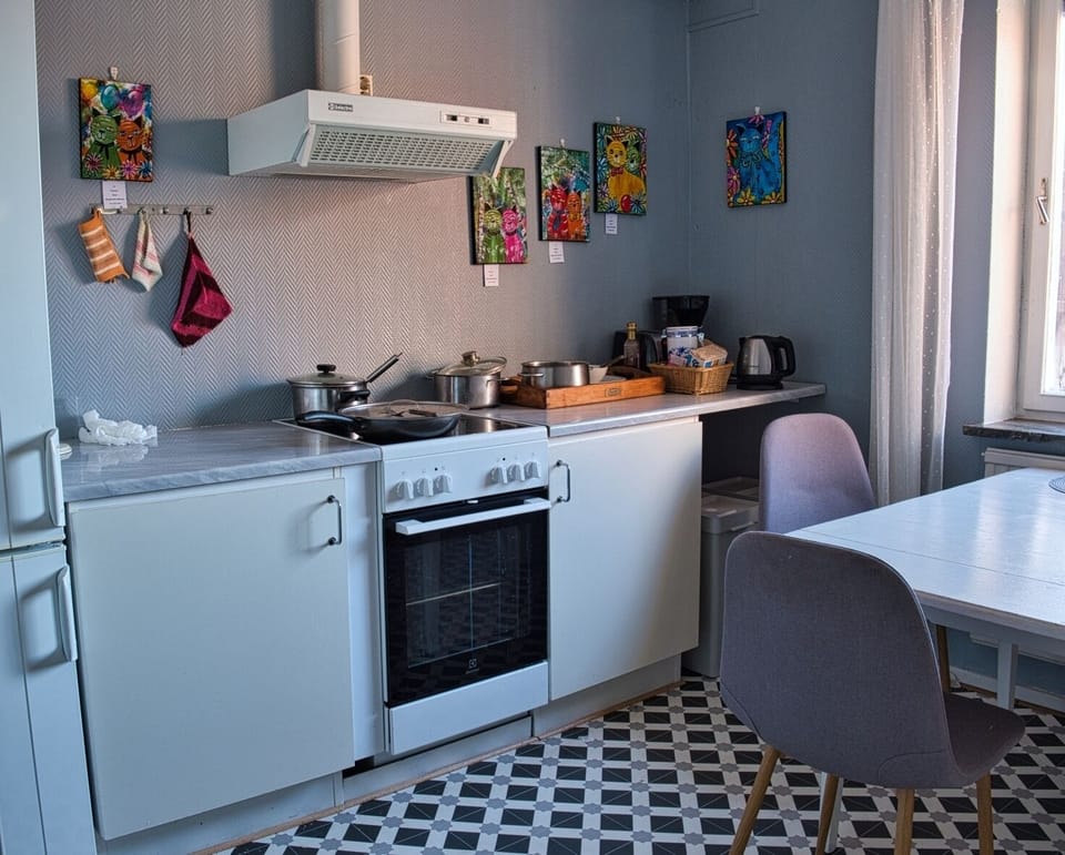 Full-size fridge, microwave, oven, stovetop