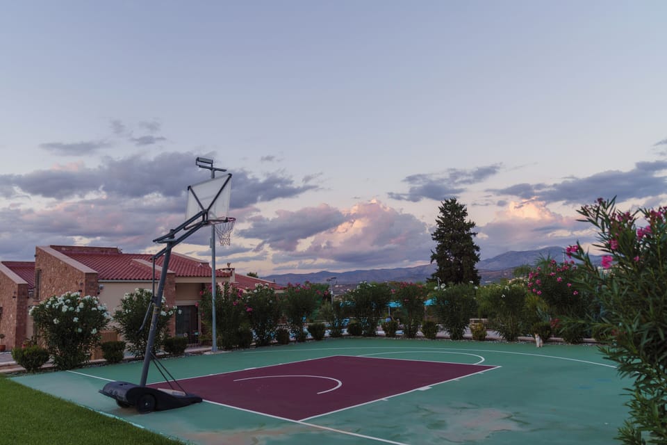 Basketball court