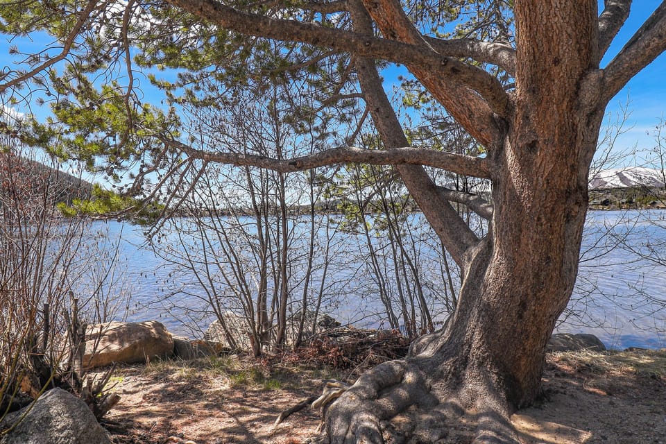 Grand Lake from Lemmon Lodge Shore