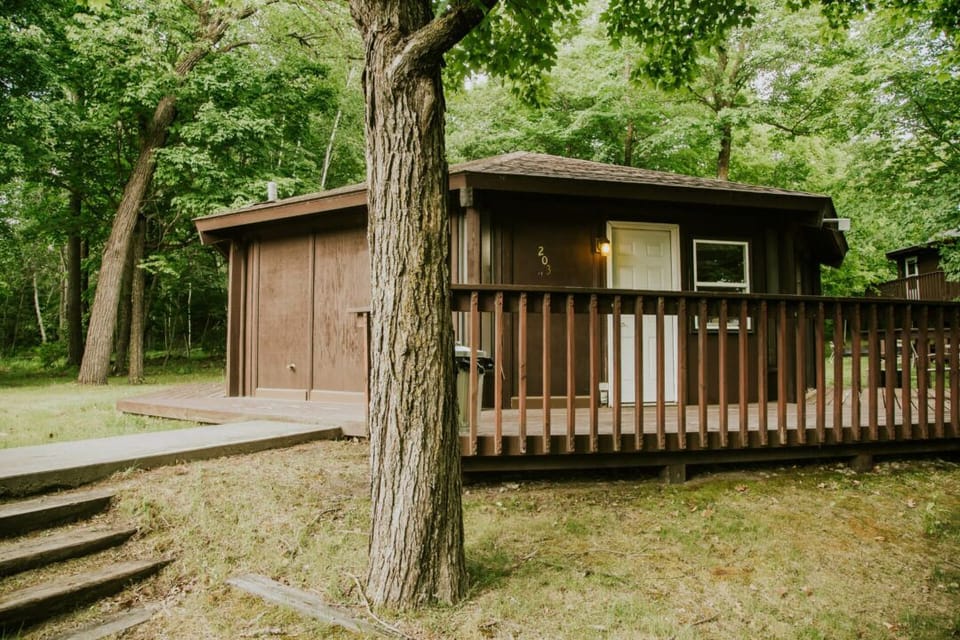 Cabin_203_01
