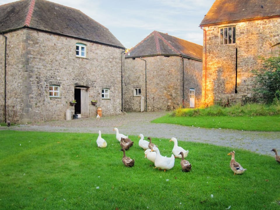 Exterior | Bailiffs House - Glynhir Estate, Llandybie
