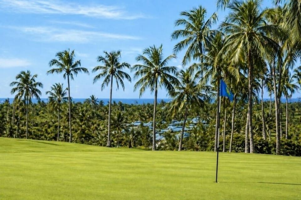 Overview • Palm Trees