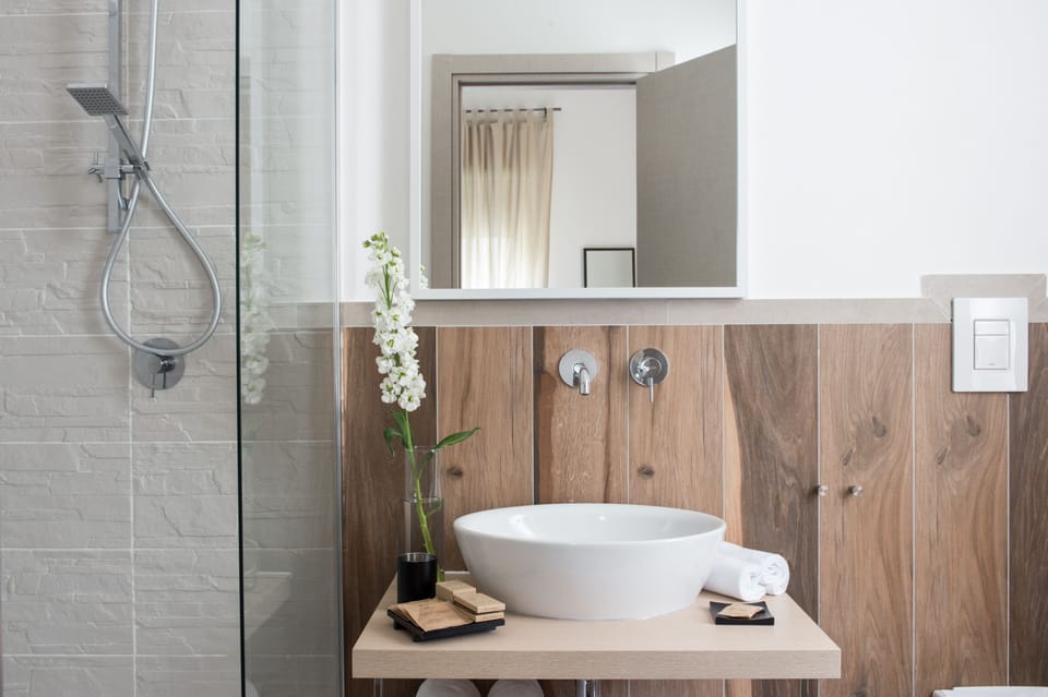 Shower, free toiletries, hair dryer, bidet