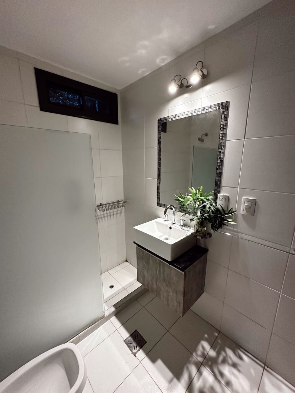 Shower, bidet, towels, soap