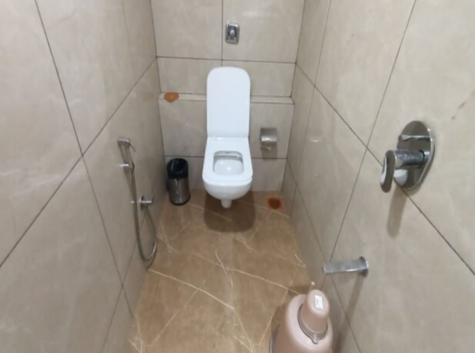 Deluxe Double Room | Bathroom | Shower, free toiletries, towels, soap