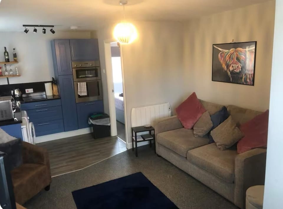Apartment | Living area | TV, fireplace
