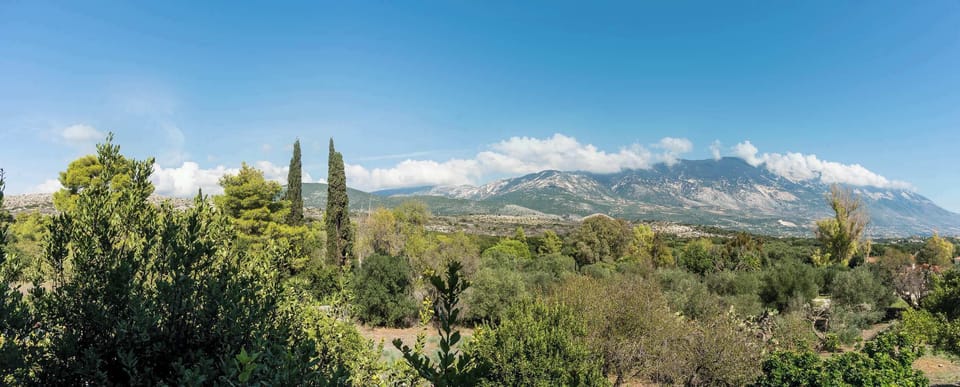 Mountain view from the property