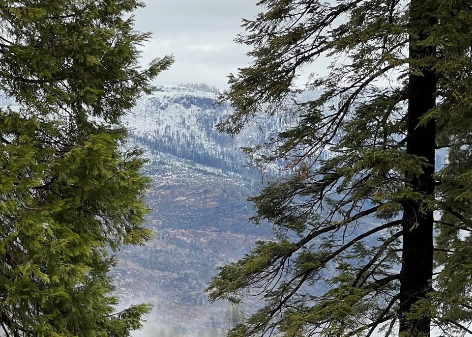 The view from the back! (Unit A)