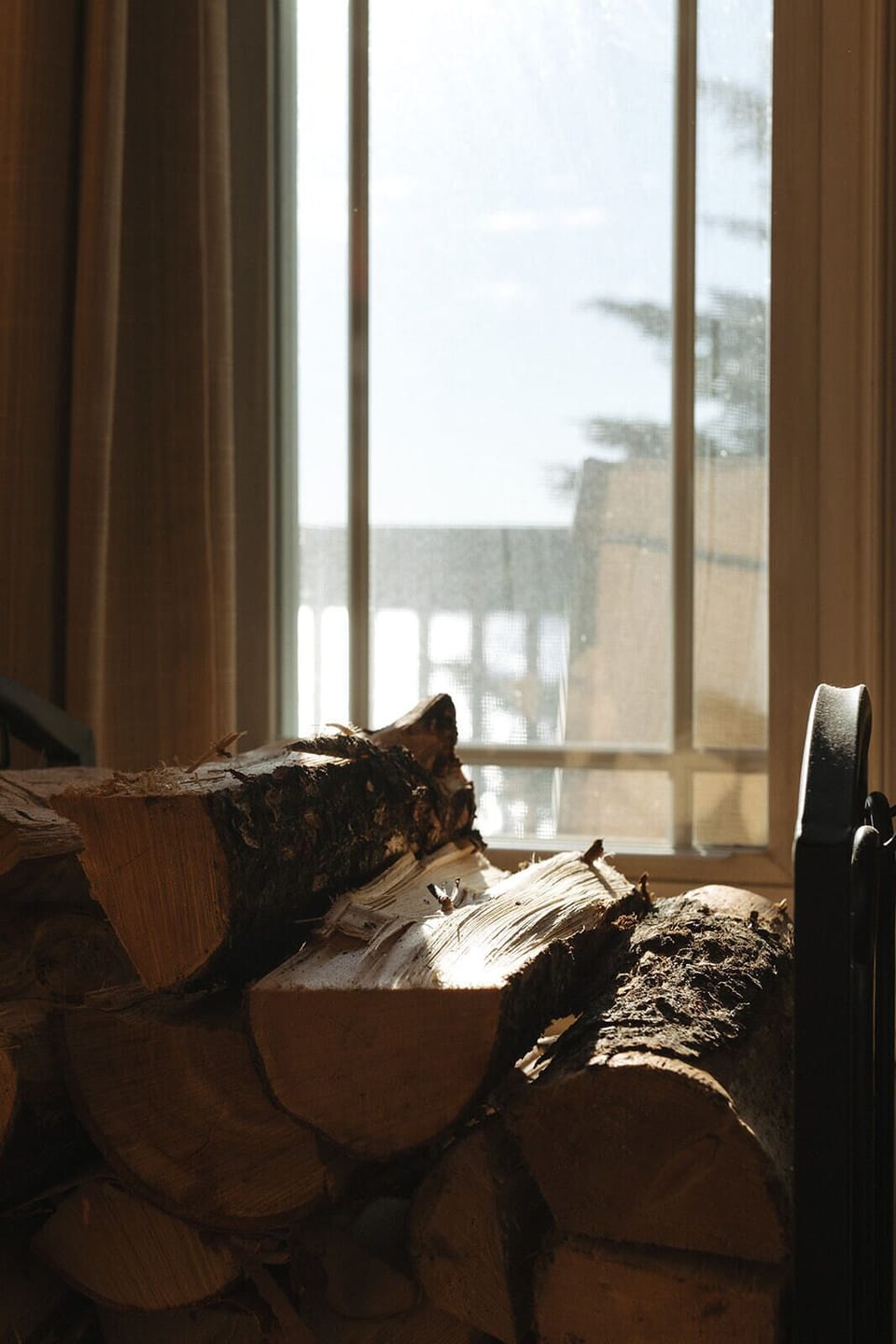 When the sun hits just right, everything feels brighter
