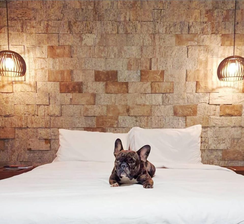 Comfort Room | Free WiFi, bed sheets
