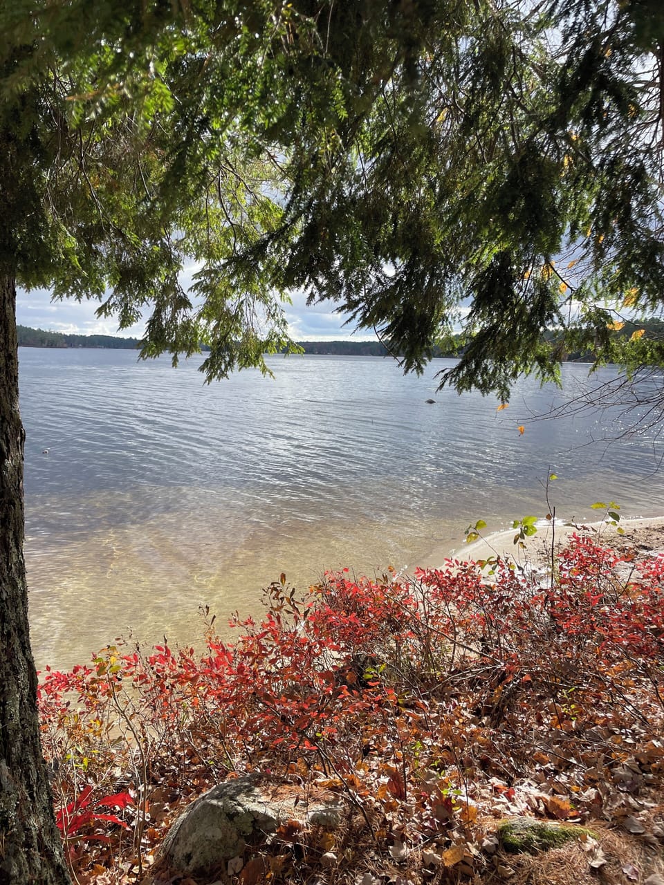 Highland lake during Autumn