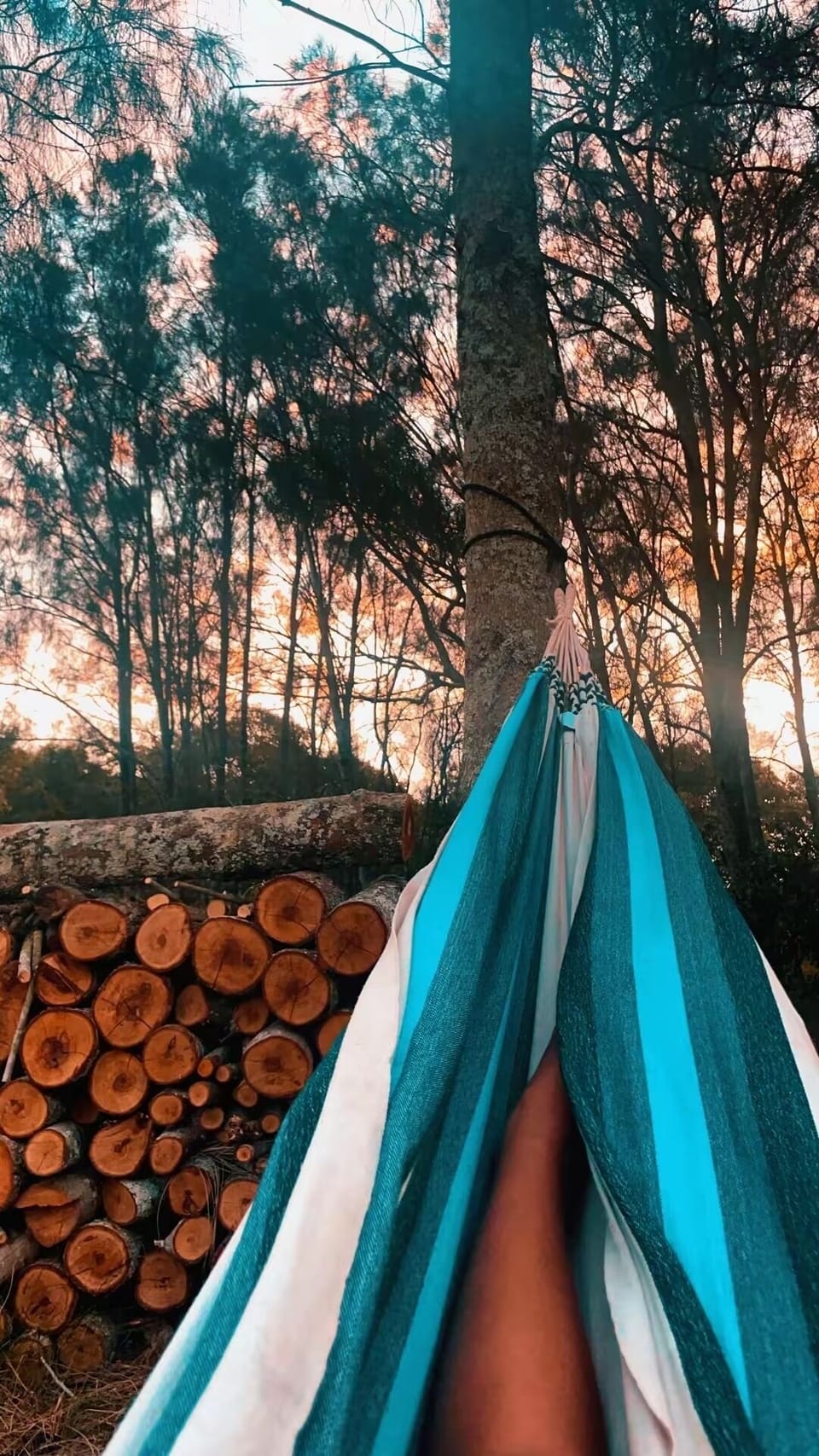 Hammock heaven down by the River - the perfect afternoon spot at Drift to drift