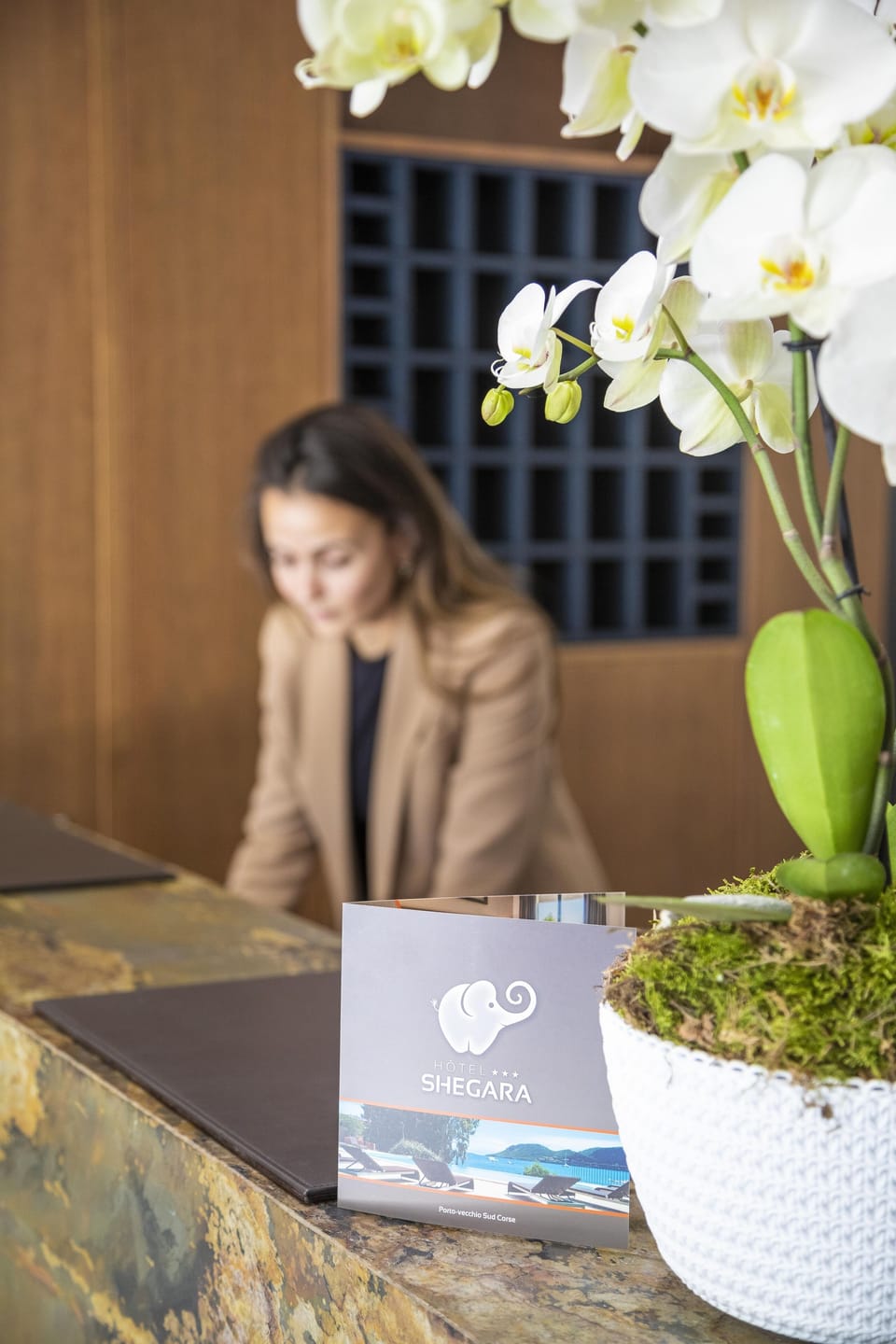 Hôtel Shegara Hotel in Porto-Vecchio