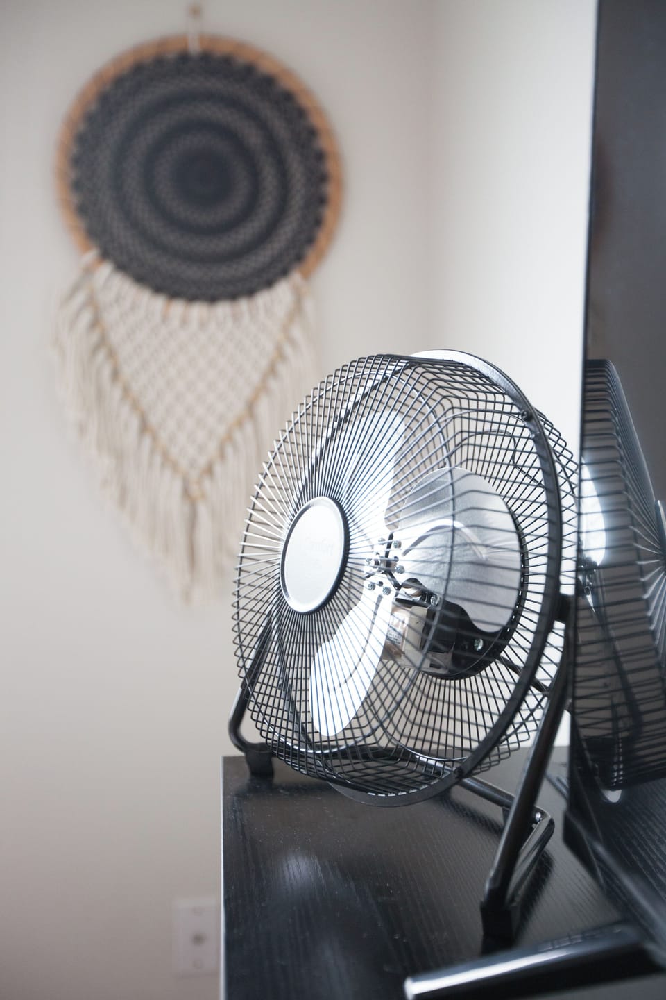 Every room has a fan! 